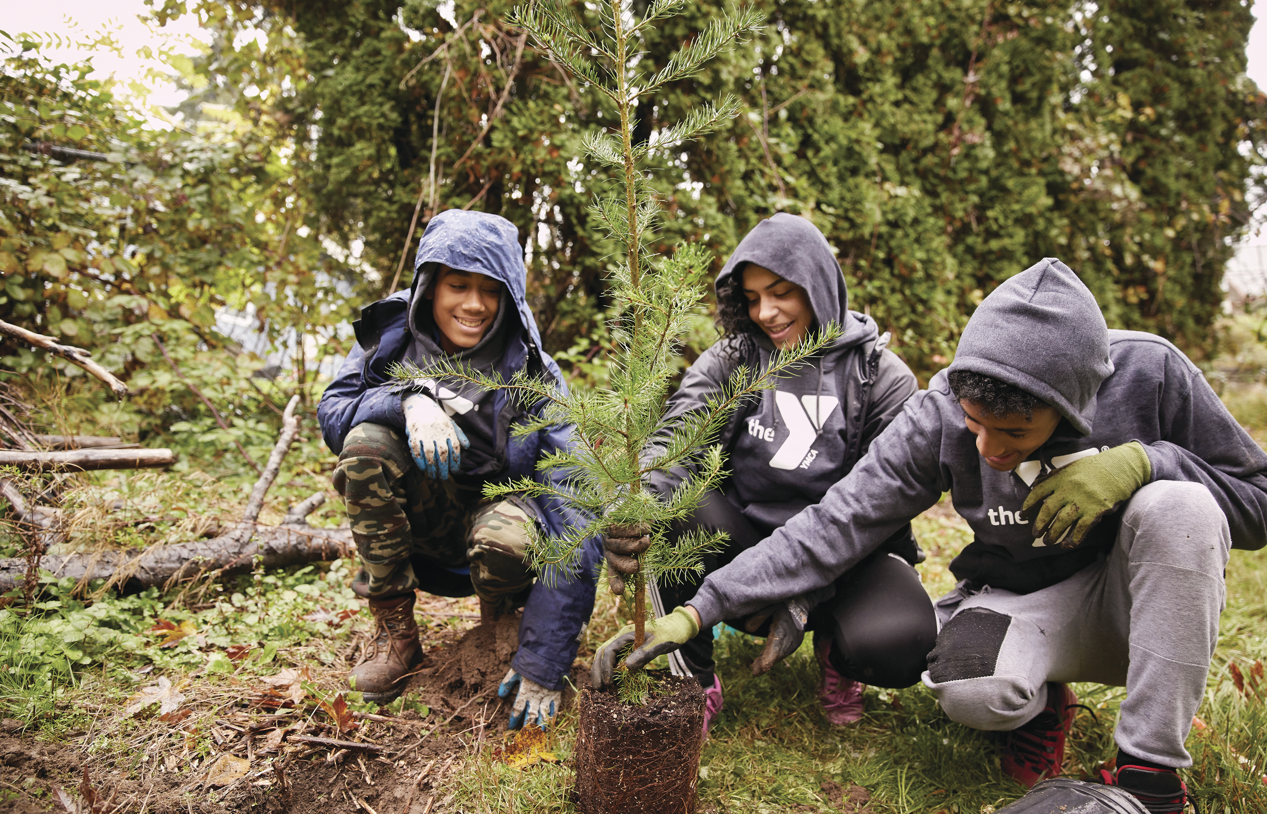 Three teens planting a tree