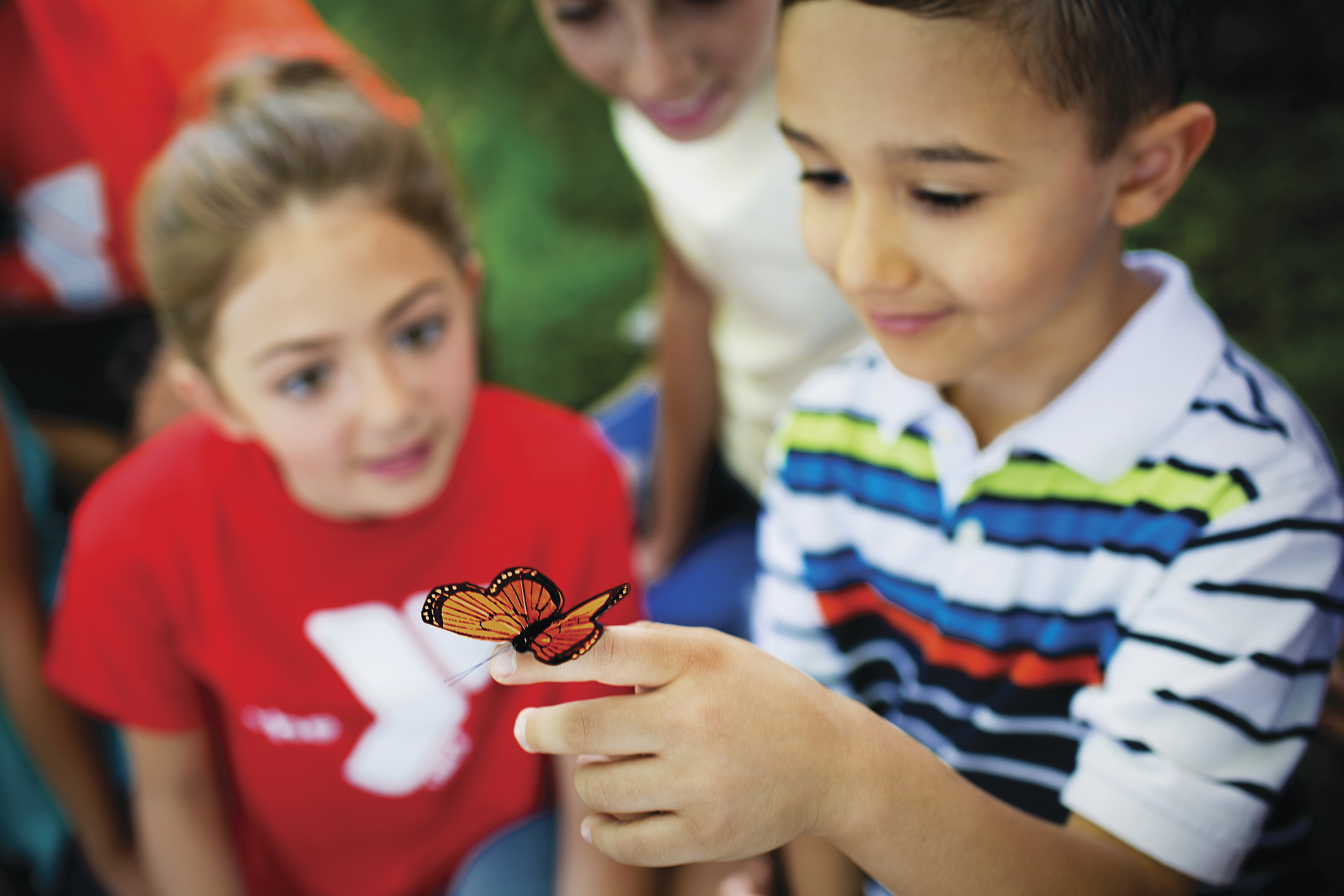 Child catching butterfly - YMCA