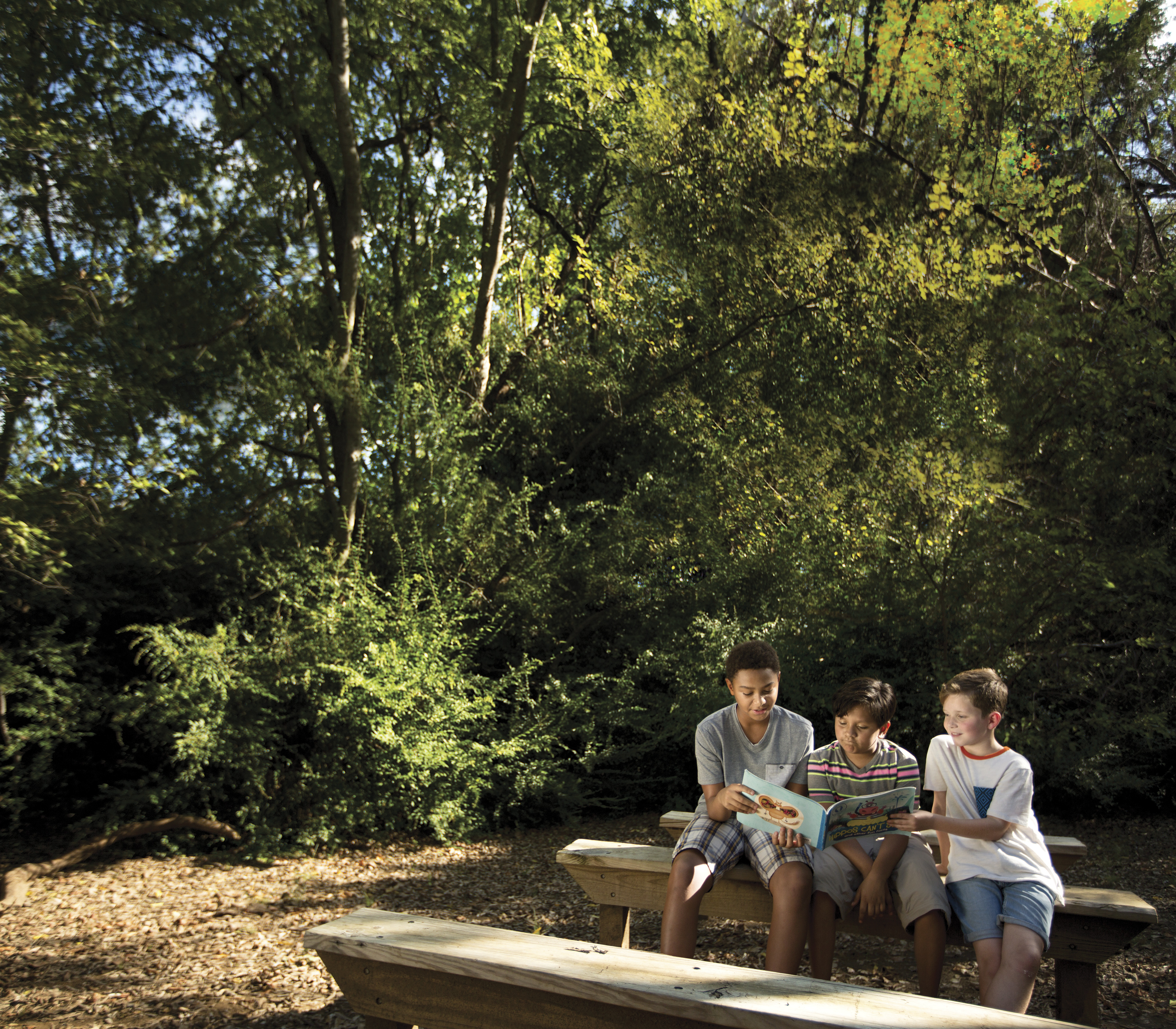 children sitting in the park reading together children sitting in the park reading together