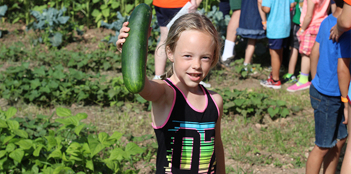 Child in a vegetable garden