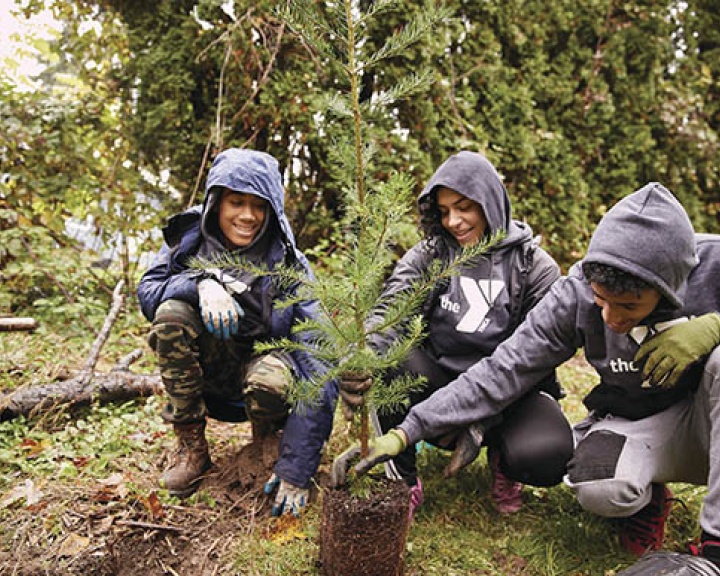 Kids planting a tree Kids planting a tree