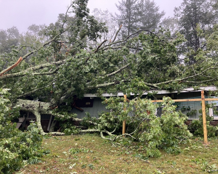 Photo from Camp Greenville Photo from Camp Greenville